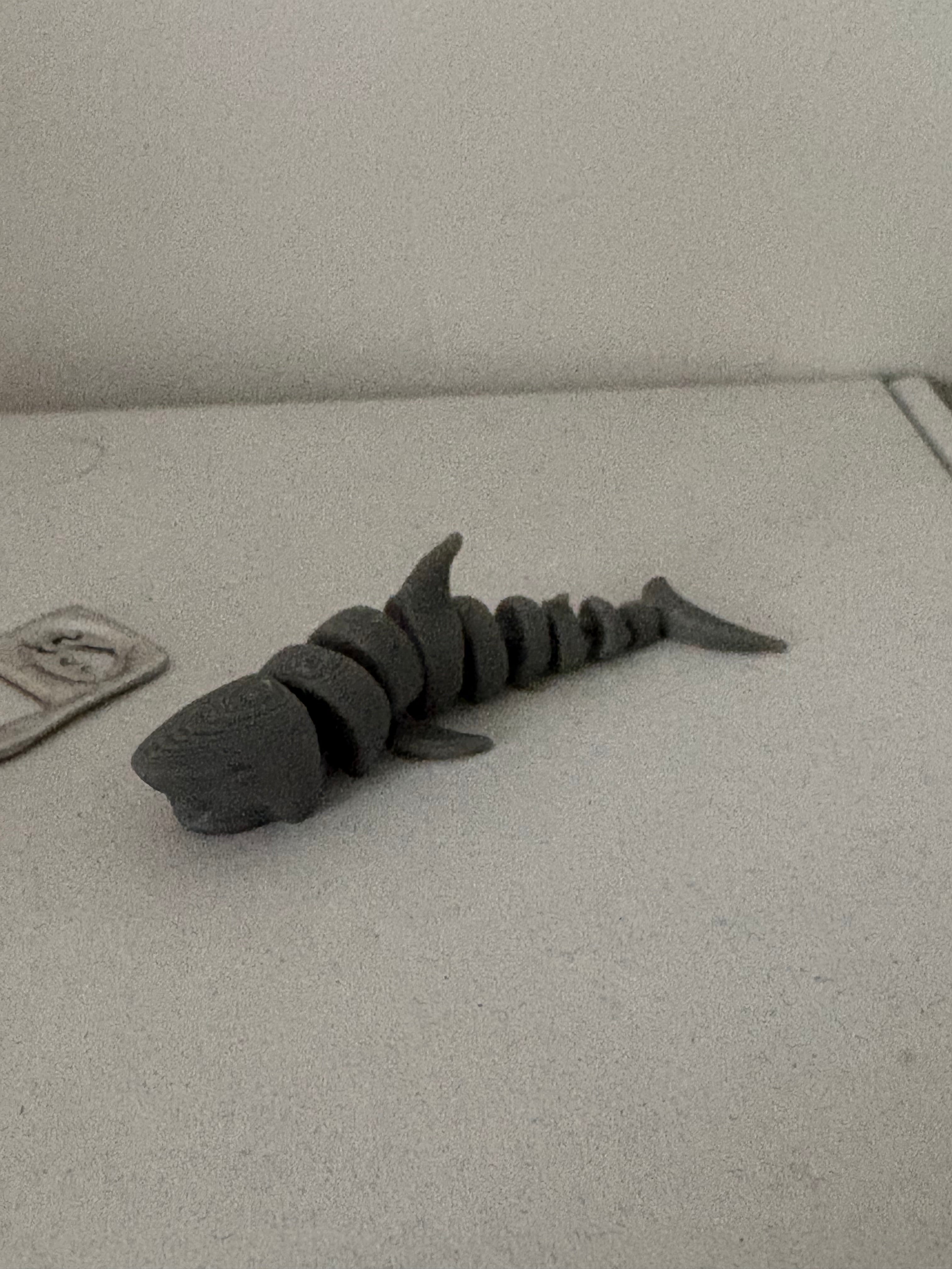 Flexi Shark